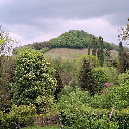 Studio Dans Belle Maison Ancienne Et Jardin Ferme L'Etoile  Exterior foto